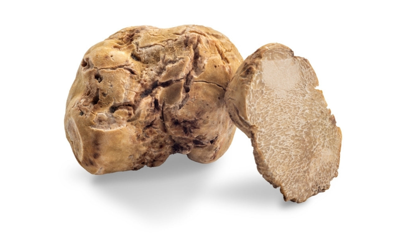 White Truffle (Tuber Magnatum Pico)