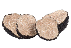 Black Summer Truffle ( Tuber Aestivum)